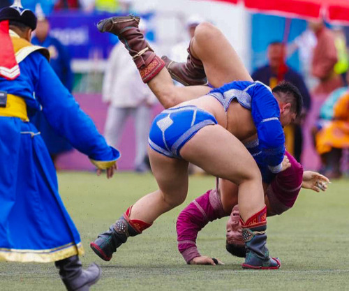 Модон могой жилийн барилдаанд хэн түрүүлэх вэ?